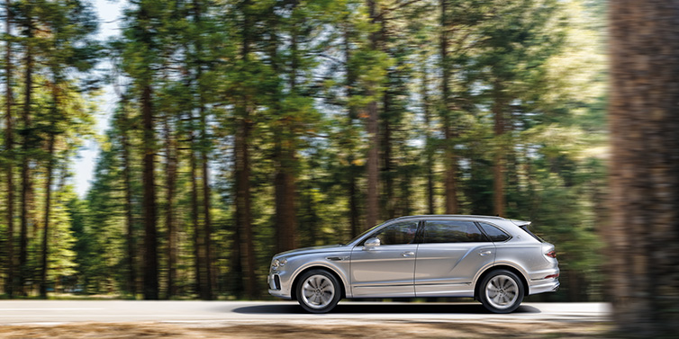 Bentley Glasgow Bentley Bentayga Extended Wheelbase SUV in Moonbeam paint driving dynamically on a forest road